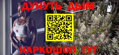 бошки Бийск