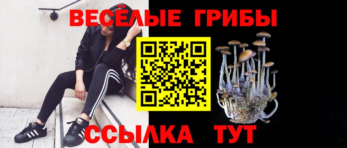 Каменка  Псилоцибиновые грибы GOLDEN TEACHER  Вход с VPN 